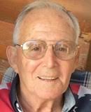 ✿ 2015 OBITS: Joplin Globe, The (Joplin, MO) ✿ 2015