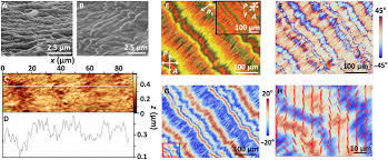 Check spelling or type a new query. Self Organization Of Nanoparticles And Molecules In Periodic Liesegang Type Structures Science Advances