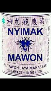 Stiker islami seperti kaligrafi subhanallah, sholawat, assalamualaikum, al ikhlas, allah. Cari Stiker Nyimak Mawon Kumpulan Gambar Menarik