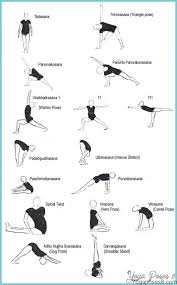 basic yoga poses for beginners with
