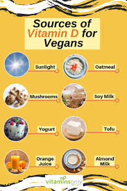 Thompson S Vitamin D3 1000iu 240 Capsules Vegan Vitamins Vitamin D Rich Food Mineral Nutrition