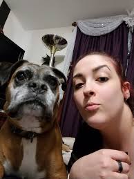 I miss having a dog but boxers only live 10-12 years. This boxer is 5 so I  don't know how long she'll live? I'd love to be her foster care mom.