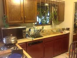 paint color ideas for kitchen cabinets