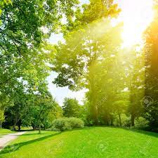 Jump to navigationjump to search. Bright Sunny Day In Park Stock Photo Picture And Royalty Free Image Image 91043845