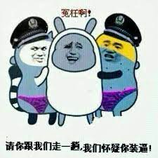 冤枉啊 请你跟我们走一我们怀疑你装逼 chinamemes memes 微信滑稽表情 搞笑斗图 撕逼图片 斗图吧表情包 斗图啦