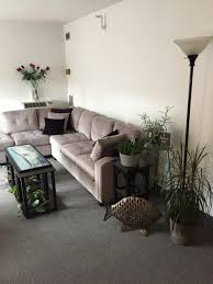 Bissell Proheat 2x Revolution Max Clean Pet Pro Full Size Carpet Cleaner 1986 Spa Product Review Walmart Com