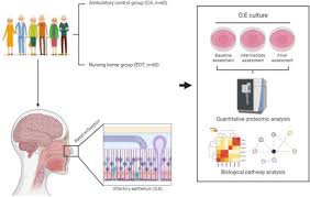 Image result for Olfactory Training