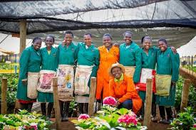 We did not find results for: Growing Summer Flowers In An African Symbiosis