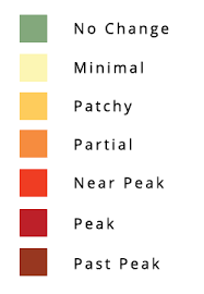 Heres When Fall Colors Are Expected To Peak In Missouri And