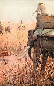 towards elephant hunter aims rifle ...