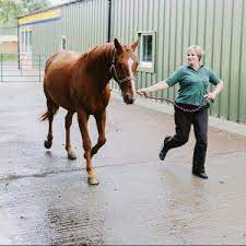 2.5 times more bioavailable than synthetic vitamin e (4,000 ius natural vitamin e approximates 10,000 ius of synthetic vitamin e). Kentucky Performance Products Epm Part Ii Horse Nation