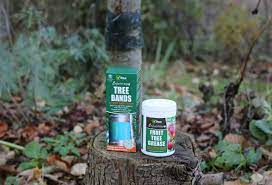 Check spelling or type a new query. Garden World Getting The Best From Fruit Trees And Bushes Garden World