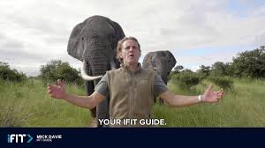 Exclusive opt™ model · 100% online education · exclusive opt model Ifit ë™ì˜ìƒ Facebook