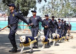 Use mywot to run safety checks on any website. Customs First Canine Training Centre Comes Up At Attari Hindustan Times