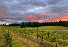 Solstice Celebration at Magnanini Winery