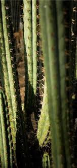 Use images for your pc, laptop or phone. Best Life Iphone X Hd Wallpapers Ilikewallpaper