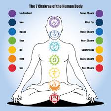 Image result for chakras