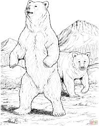 Two Black Bears Coloring Page Free Printable Coloring Pages Bear Coloring Pages Bear Sketch Bear Art