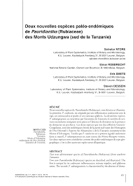 Image result for Pauridiantha dewevrei