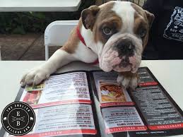 I Ll Have The Chicken Nuggets Basket With A Side Of Slaw Bulldog Art English Bulldog Bulldog