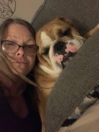 Fundraiser by Elizabeth Deweese : Save Rocky: Emergency Medical Fund