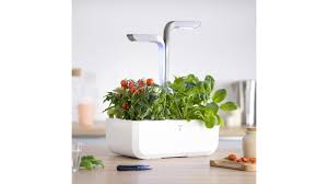 نتیجه جستجوی لغت [veritable] در گوگل