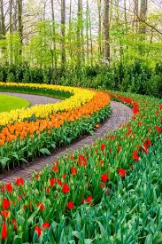 Hd wallpapers and background images Spring Landscape Spring Nature Stock Image Colourbox