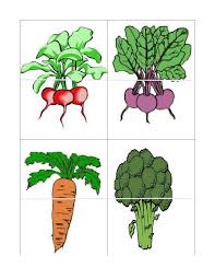 Pin Van Berangere Halleux Op Thema Tuincentrum Kleuters Theme Garden Center Preschool Garden Center Maternelle Wintergroenten Groenten Groente