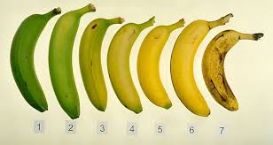 Devinez Quelle Bananes Est La Meilleure Pour Vous Et Votre Sante Banana Sante Nutrition Banane Bienfaits