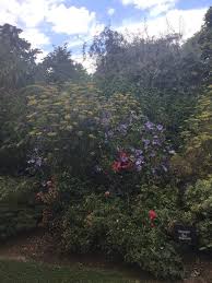 Jardin Du Mesnil Monterolier 2020 All You Need To Know Before You Go With Photos Tripadvisor