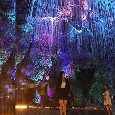 With otherworldly design features, penang avatar secret garden is unlike anything you've ever seen. Siapkan Kameramu Yuk Liburan Malam Di Avatar Secret Garden