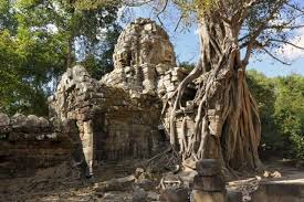 Image result for temple overgrow