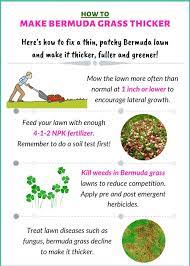 Pin On Crabgrasslawn Com