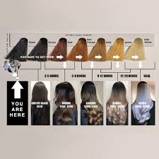 At salon blonde, your hair is our top priority. Color Journey The Phases Of Black To Silver Blonde Hai Tran Hai Stylist Haisalonwichita Black To Blonde Hair Color Correction Hair Hair Chart