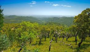 The guide book said stunning views. Sehenswerte Orte Monchique Portugal
