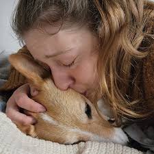 Missing ESA Dog in Waco Area