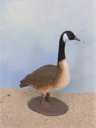 Maybe you would like to learn more about one of these? Safari Ltd 100264 Wildgans Mini Tierfigur Aus Toob Rohre Grosse Seen 2020 Sandspielfiguren De