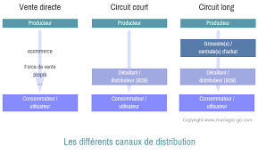 Comment vendre sur internet ? Canaux De Distribution Et Politique Strategie Et Exemples