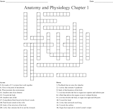 Learn anatomy faster and remember everything you learn. Basic Anatomy Units Crossword Anatomy Drawing Diagram