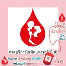 à¸œà¸¥à¸à¸²à¸£à¸„à¹‰à¸™à¸«à¸²à¸£à¸¹à¸›à¸ à¸²à¸žà¸ªà¸³à¸«à¸£à¸±à¸š à¸£à¸¹à¸›à¸à¸²à¸Šà¸²à¸”à¹€à¸Šà¸µà¸¢à¸‡à¹ƒà¸«à¸¡à¹ˆ