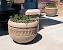 Large Red Outdoor Planters
