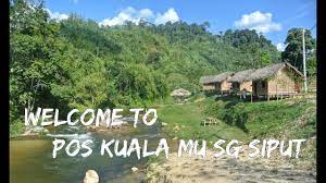 2 sungai bertemu, suhu lain lain di kuala mu sungai siput. Pos Kuala Mu Sungai Siput Destinasi Eco Tourism Youtube