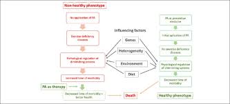 To maintain a healthy body image, adults should focus on a healthy lifestyle by exercising. International Exercise Recommendations In Older Adults Icfsr Expert Consensus Guidelines Springerlink