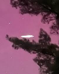 Rose Petillo McCarthy (@crosez) • Фото и видео в Instagram