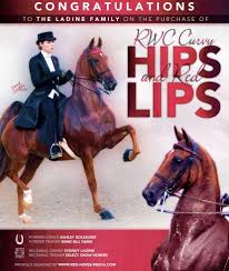 Rwc Curvy Hips And Red Lips Ssh Horses In 2020 Show Horses Horses Curvy Hips
