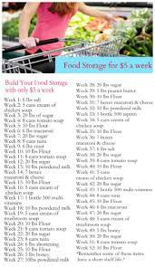 Build Your Food Storage For As Little As $5 A Week! (Plus A Free Printable  List!) - Classy Clutter
