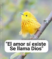 Pin De Susana Rodas En El Amor De Dios Es Maravilloso Frases De Amistad Biblicas Frases De Amistad Bendiciones De Dios