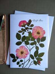 We did not find results for: 380 Pressed Flowers Ideas In 2021 Pressed Flowers Pressed Flower Art Pressed Flower Crafts
