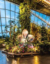 Check restrictions for your trip. Cloud Forest Dome Singapore Photograph By David Rolt