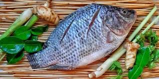 Harga ikan air tawar di pasar ikan dominan lebih murah daripada harga ikan air laut. 8 Jenis Ikan Air Tawar Yang Paling Populer Di Konsumsi Salah Satunya Ikan Patin Kapanlagi Com